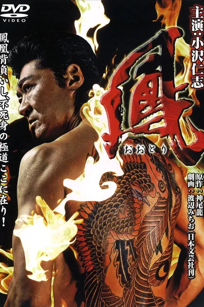 Ootori