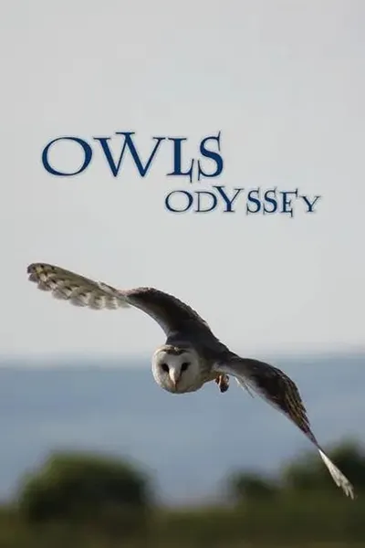 Owl's Odyssey