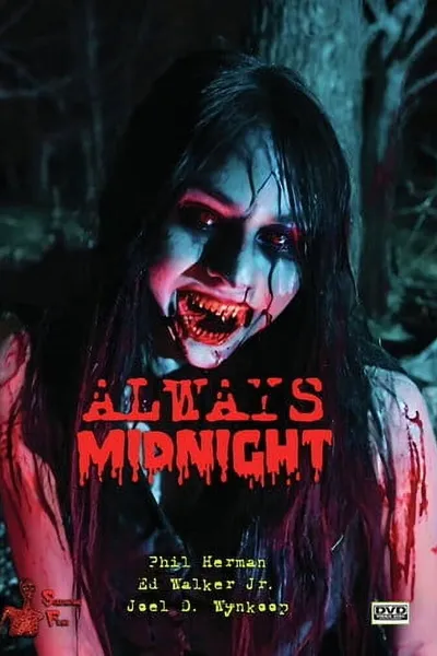 Always Midnight