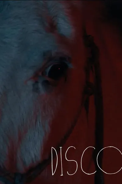 Disco
