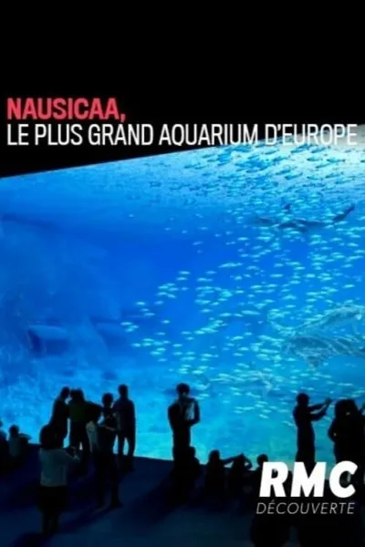 Nausicaa: The Largest Aquarium in Europe