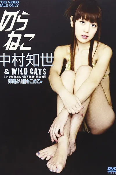 のらねこ 中村知世 & WILD CATS/かでなれおん・森下悠里・秋山優 沖縄より愛をこめて