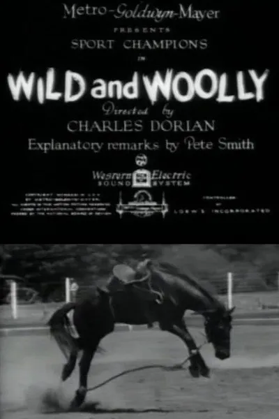 Wild and Woolly