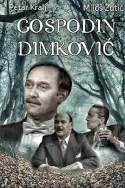 Mister Dimkovic