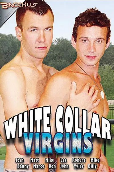 White Collar Virgins