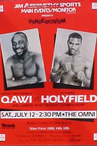 Dwight Muhammad Qawi vs. Evander Holyfield