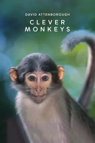 Clever Monkeys