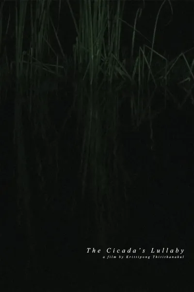 The Cicada's Lullaby