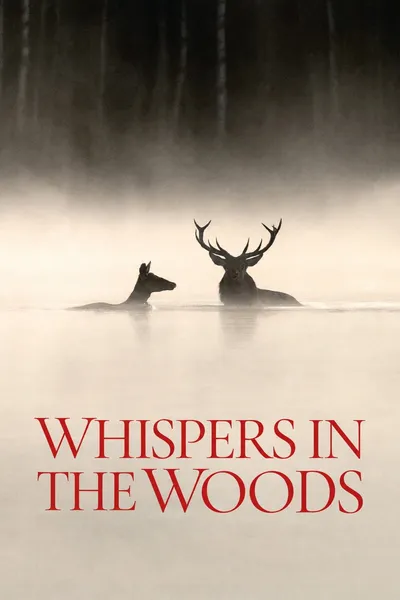 Whispers in the Woods