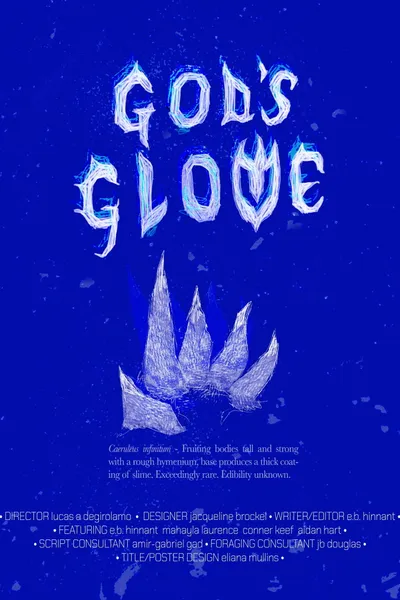 God's Glove