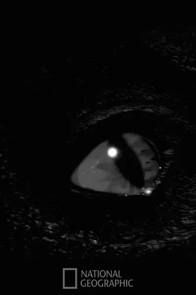 Prehistoric Monsters Revealed