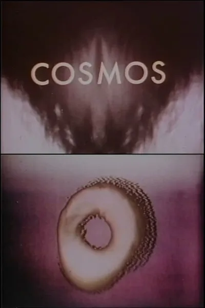 Cosmos