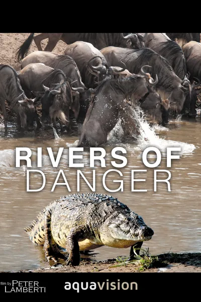 Rivers of Danger