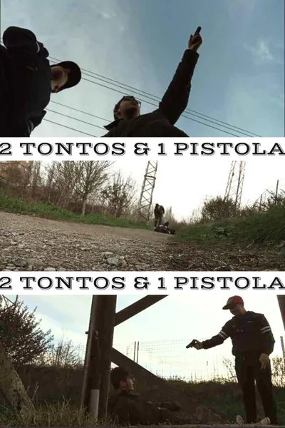 2 Tontos & 1 Pistola