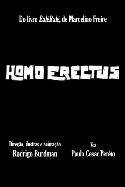 Homo Erectus