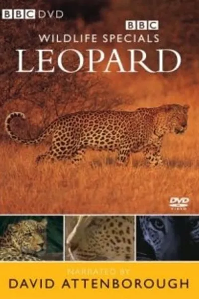 Leopard: The Agent of Darkness