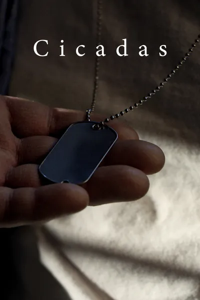 Cicadas