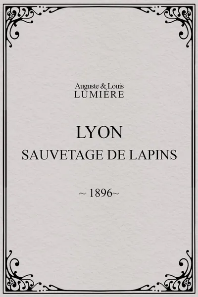 Lyon : sauvetage de lapins