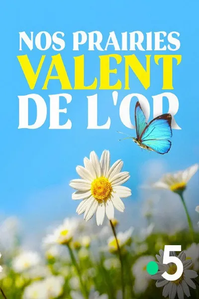 Nos prairies valent de l'or