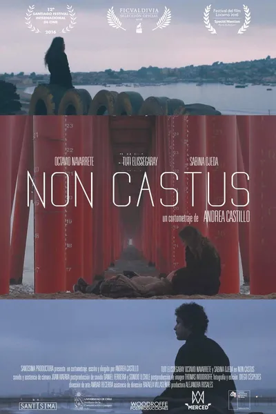 Non Castus