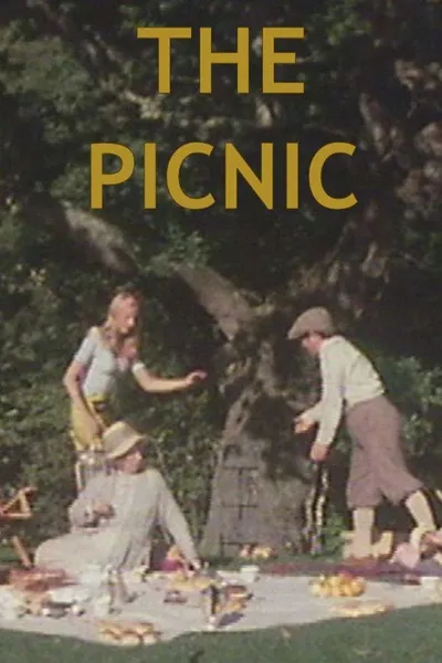 The Picnic