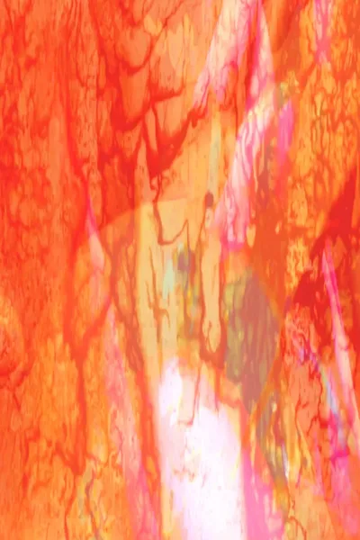 »Vietnam 23«