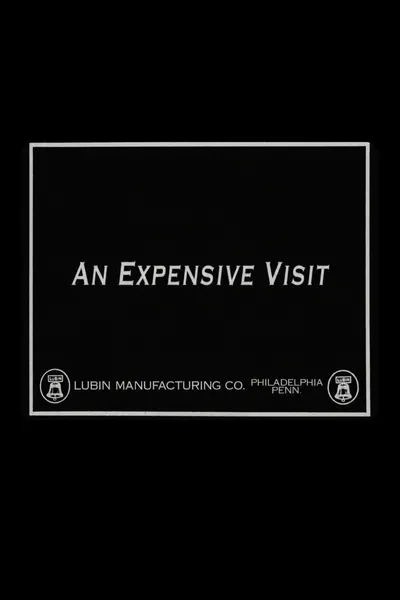 An Expensive Visit