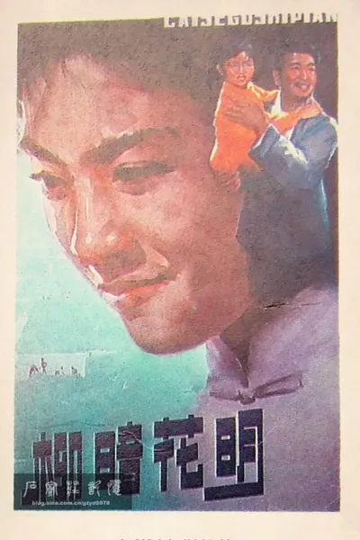 柳暗花明