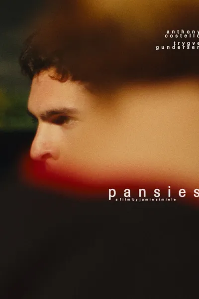 pansies