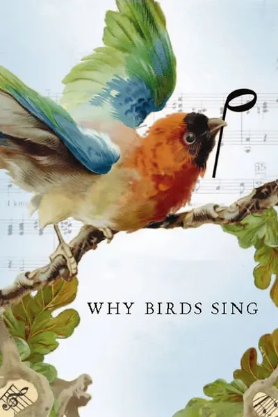 Why Birds Sing