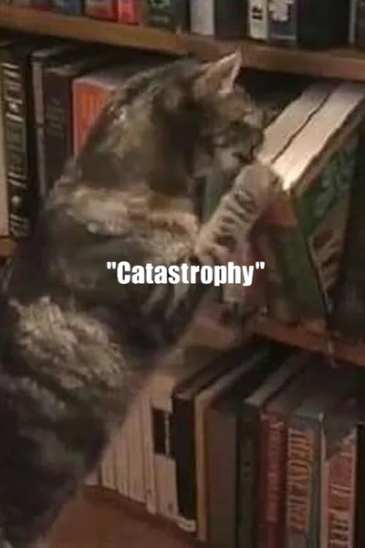 Catastrophy