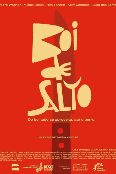Boi de Salto