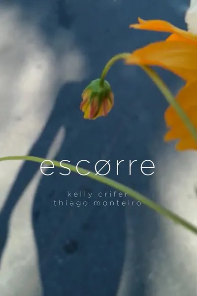 Escorre