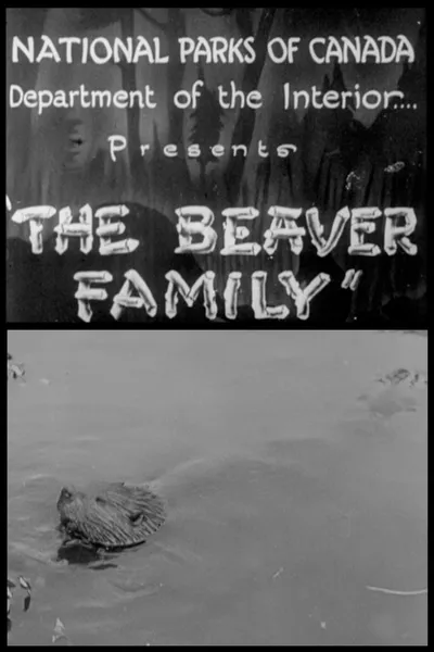 Beaver Family