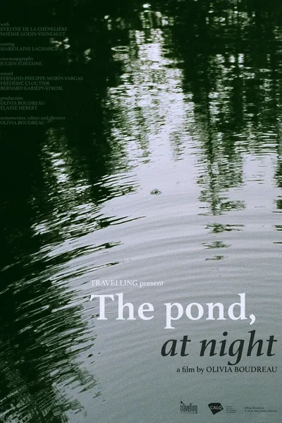 L'étang, la nuit