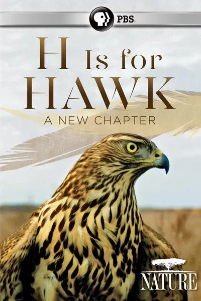 H is for Hawk: A New Chapter