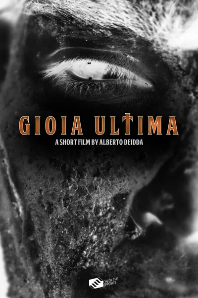 Gioia Ultima