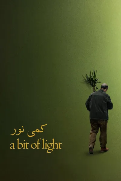 A Bit of Light