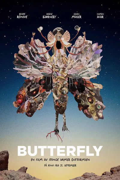 Butterfly
