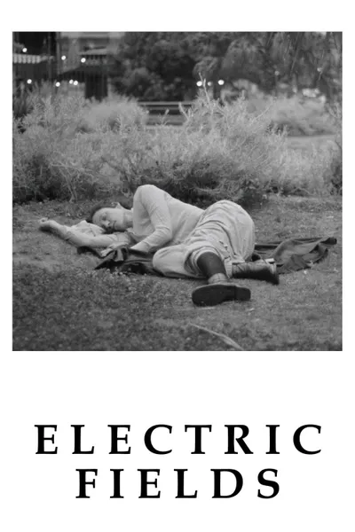Electric Fields