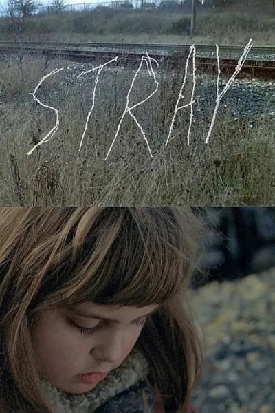 Stray