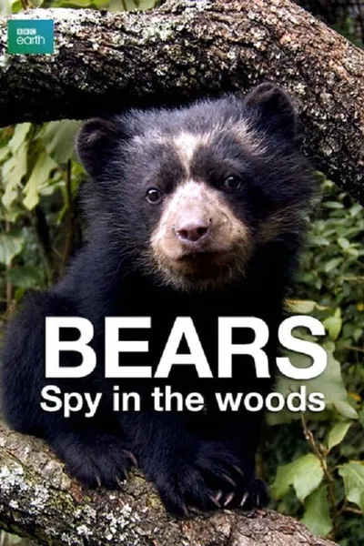 Bears: Spy in the Woods