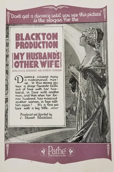 My Husband's Other Wife