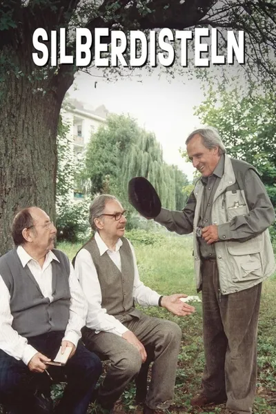 Silberdisteln