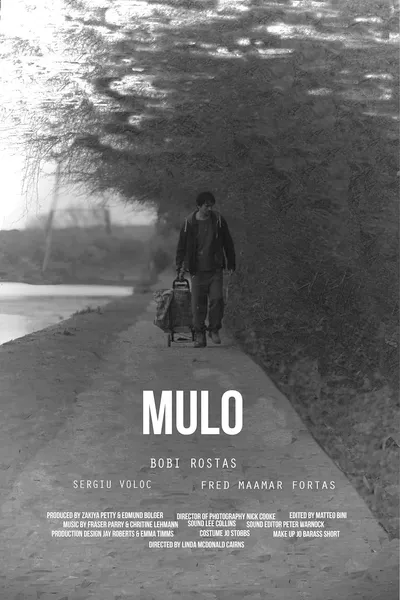 Mulo