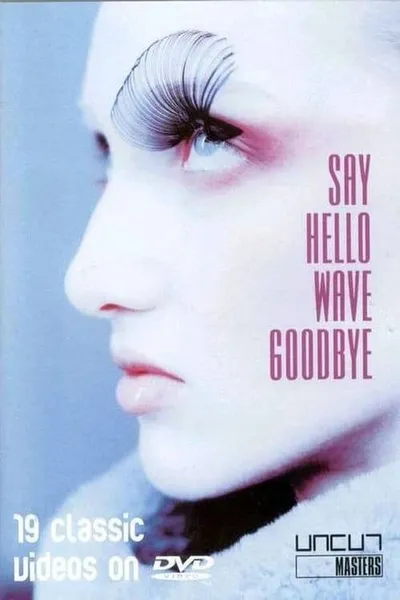 Say Hello, Wave Goodbye