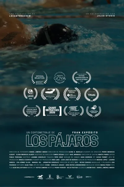 Los pájaros
