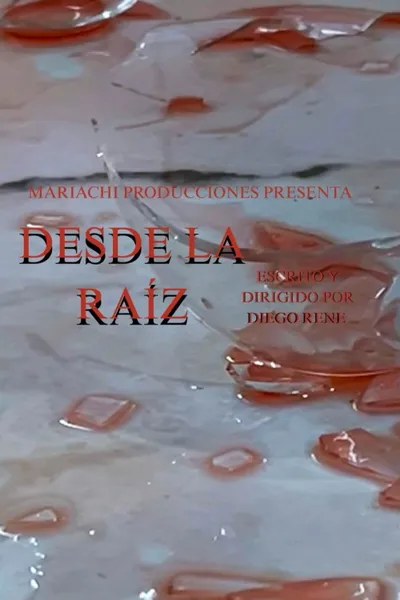 Desde la raíz
