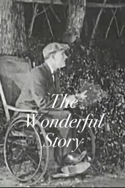 The Wonderful Story