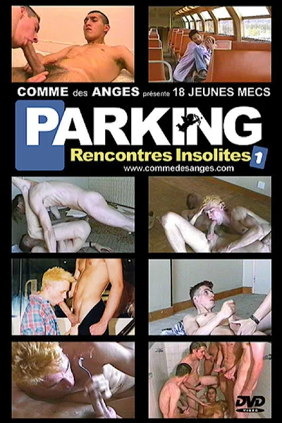Rencontres Insolites 1: Parking